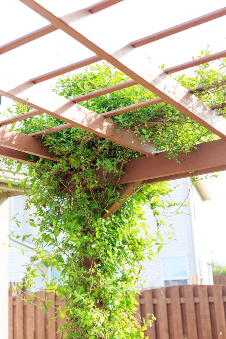 Trellises and​ pergolas: Frames for climbing plants accentuate your⁢ patio design⁢ beautifully