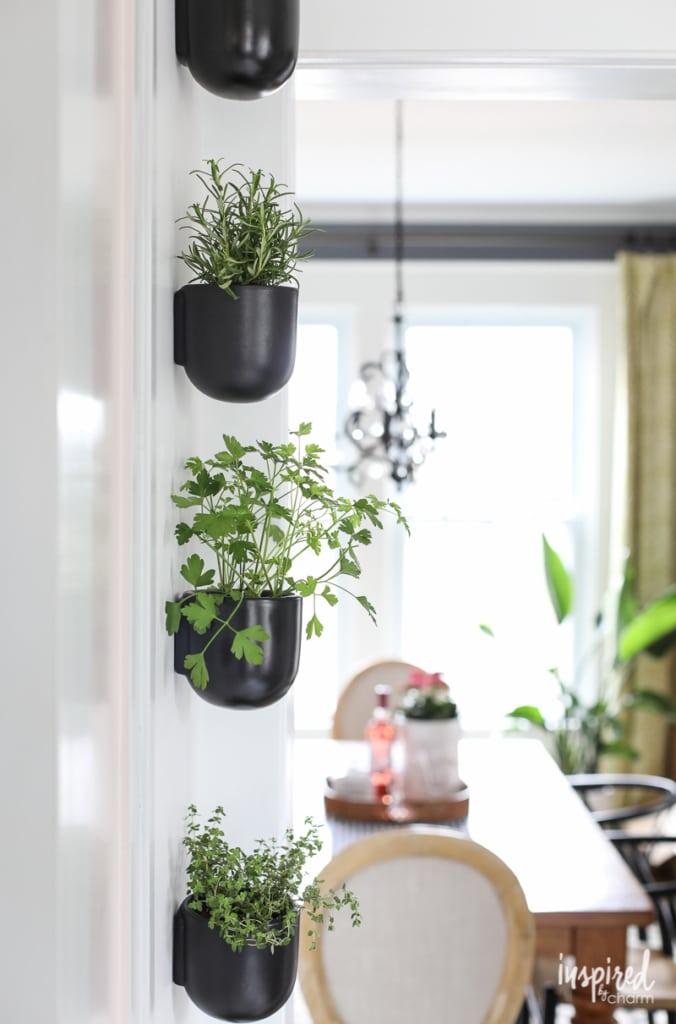 A splash of greenery with indoor‍ plants breathes life into your modern kitchen