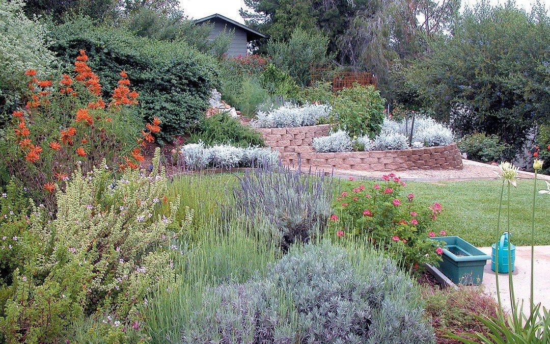 Use native plants to‍ enhance sustainability in your landscaping design