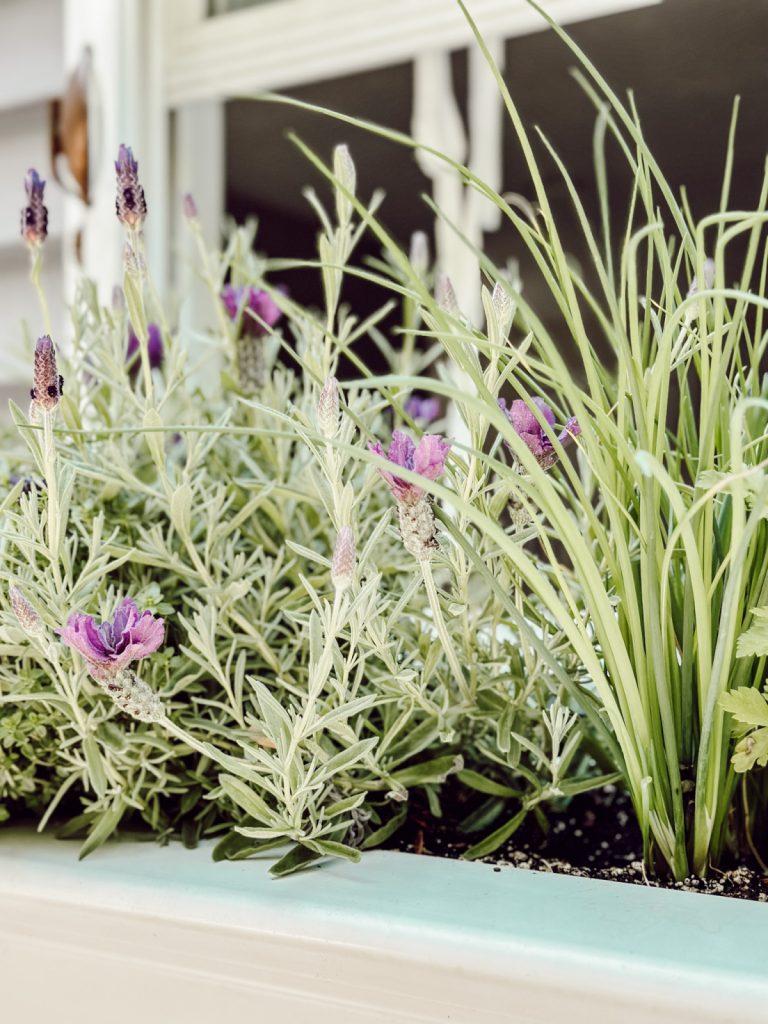 Herb ‌garden pots for fresh flavors right in your‌ country kitchen