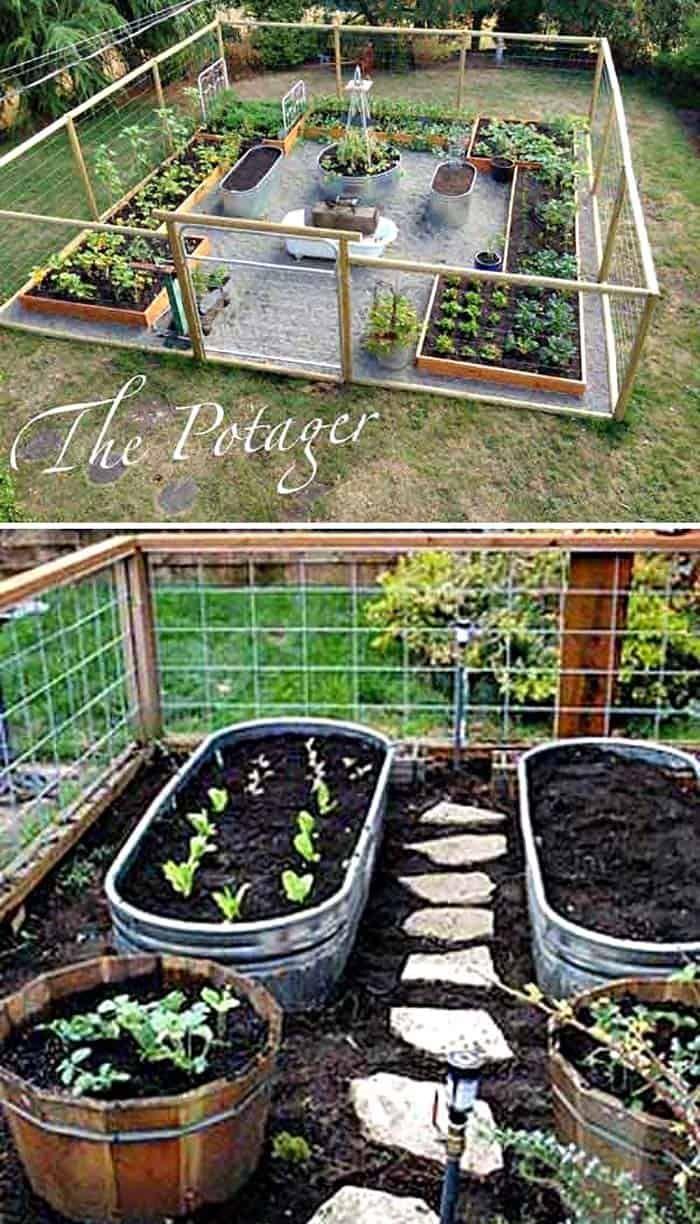 Add a vegetable patch to your backyard design for fresh produce at your fingertips