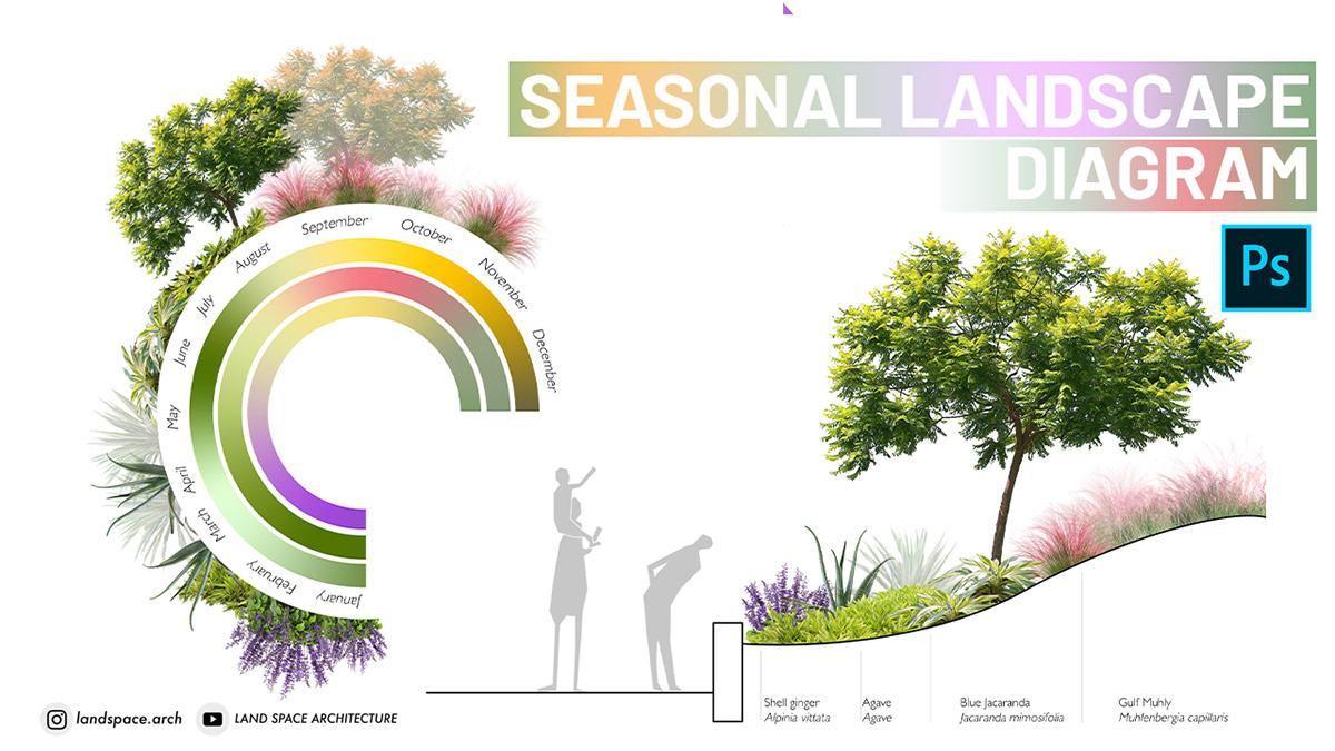 Seasonal ​interest in Modern Landscape⁣ Design ensures ⁢beauty throughout the year