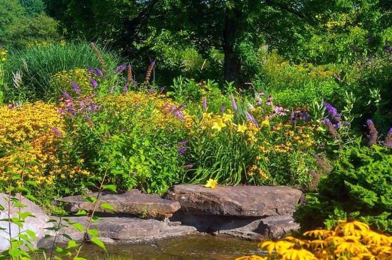 Cultivate a ‍butterfly garden for vibrant life‍ in your modern backyard landscape