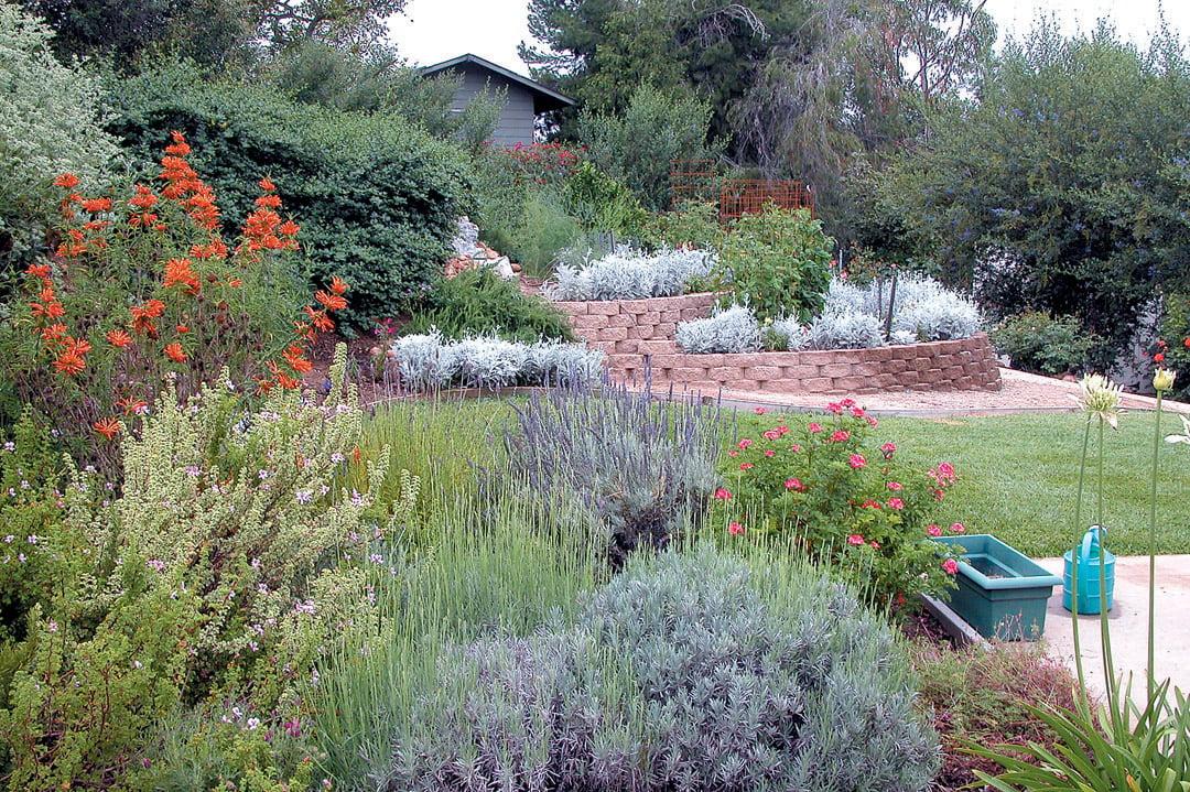 Integrate native plants into your landscaping design ⁤for sustainable ⁢beauty and resilience