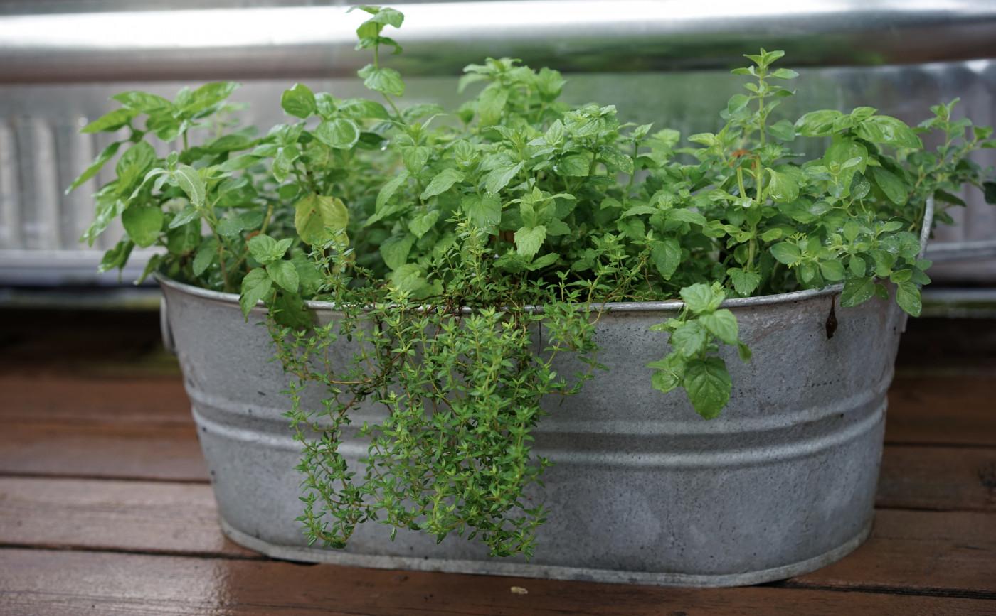 Add​ potted herbs for a functional twist ​in your small patio design