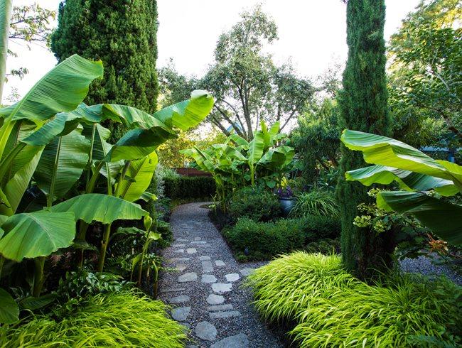 Tropical plants⁣ lend a vibrant touch to​ your patio ⁢design aesthetic