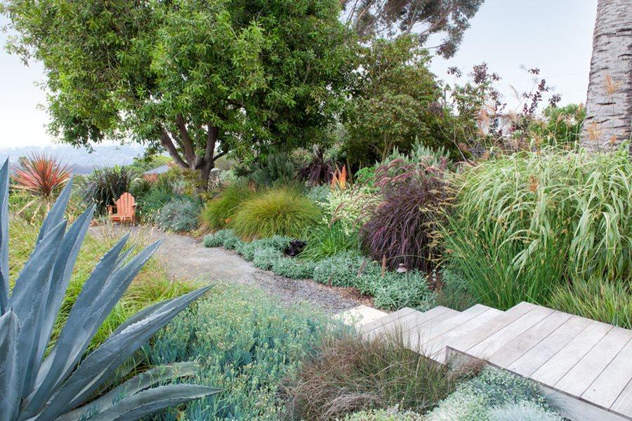 Implement drought-resistant plants for sustainable landscaping design in arid climates