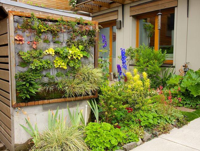 Implement a vertical ‍garden for a ⁣small-space solution in your backyard ​design