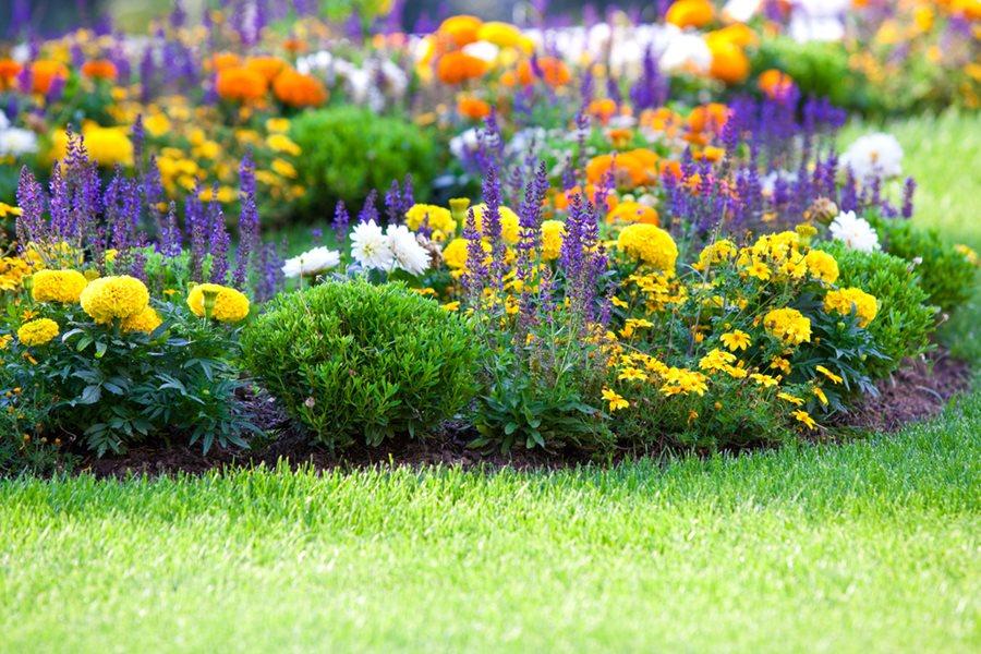 Use colorful planters to infuse vibrant hues into your backyard design