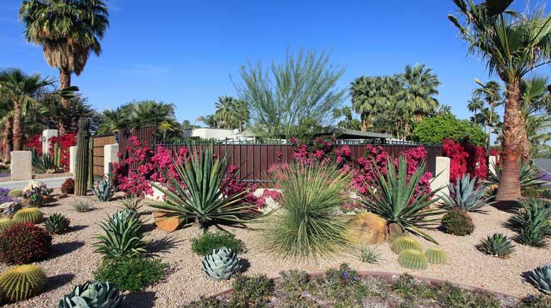 Low-maintenance xeriscaping⁢ promotes water⁢ conservation with a ​beautiful ⁣Landscaping Design