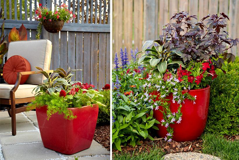 Color-coordinated planters: Tie your patio design together with cohesive plant arrangements