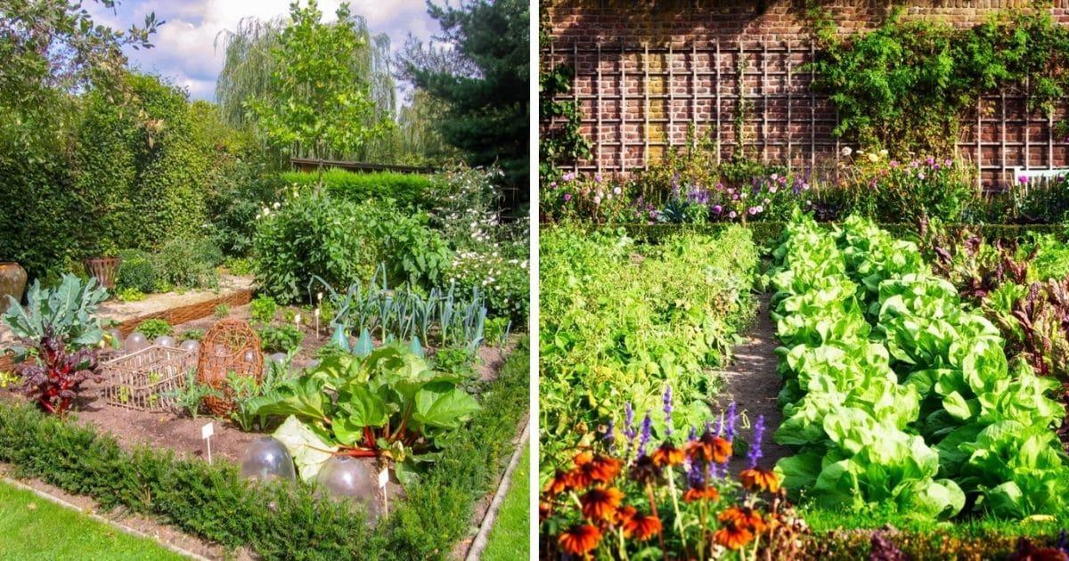 Incorporate edible plants into your landscaping design for beauty and‍ delicious ⁤homegrown produce