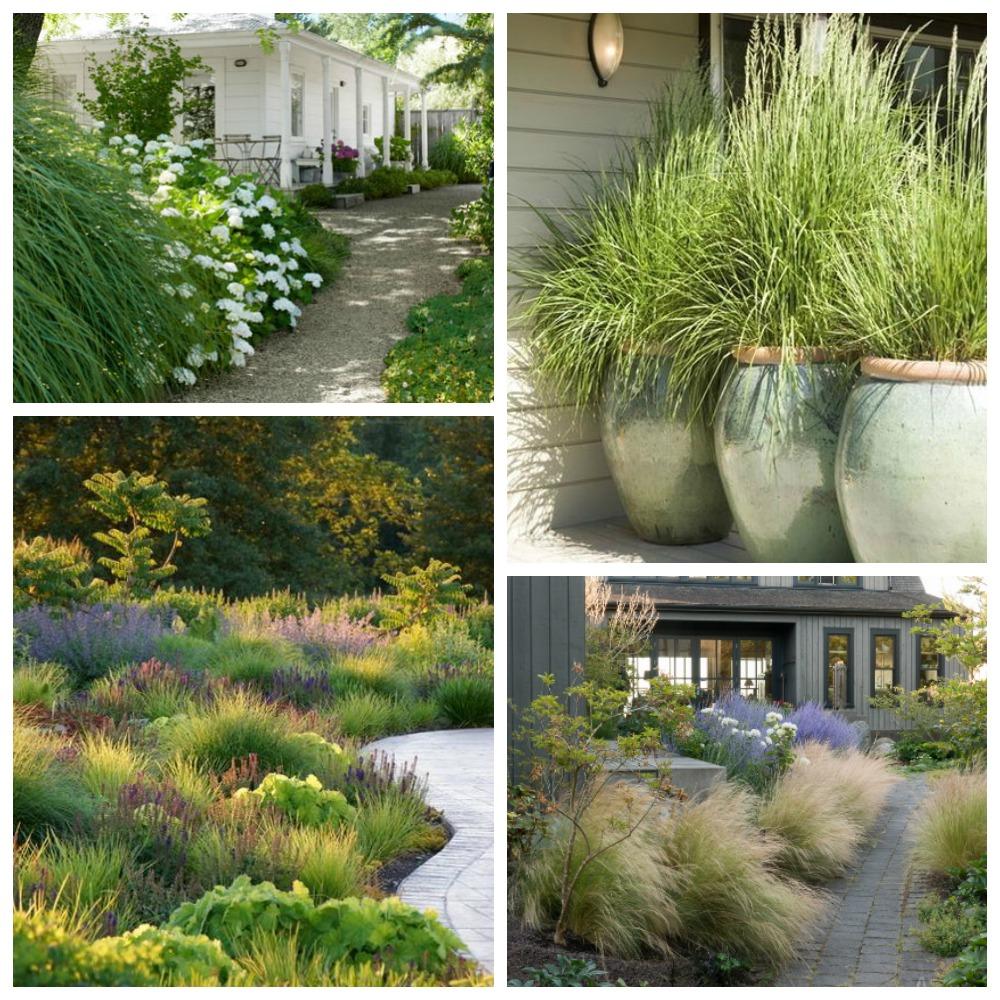 Use pathways‍ lined with ornamental grasses to guide guests through your unique landscaping design