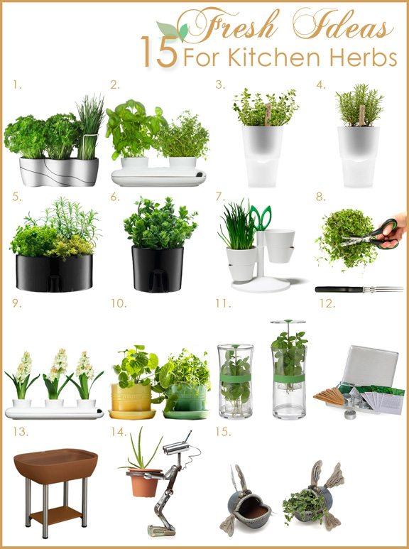 Keep ‌a ⁢small herb garden on the windowsill of⁣ your ⁢galley kitchen