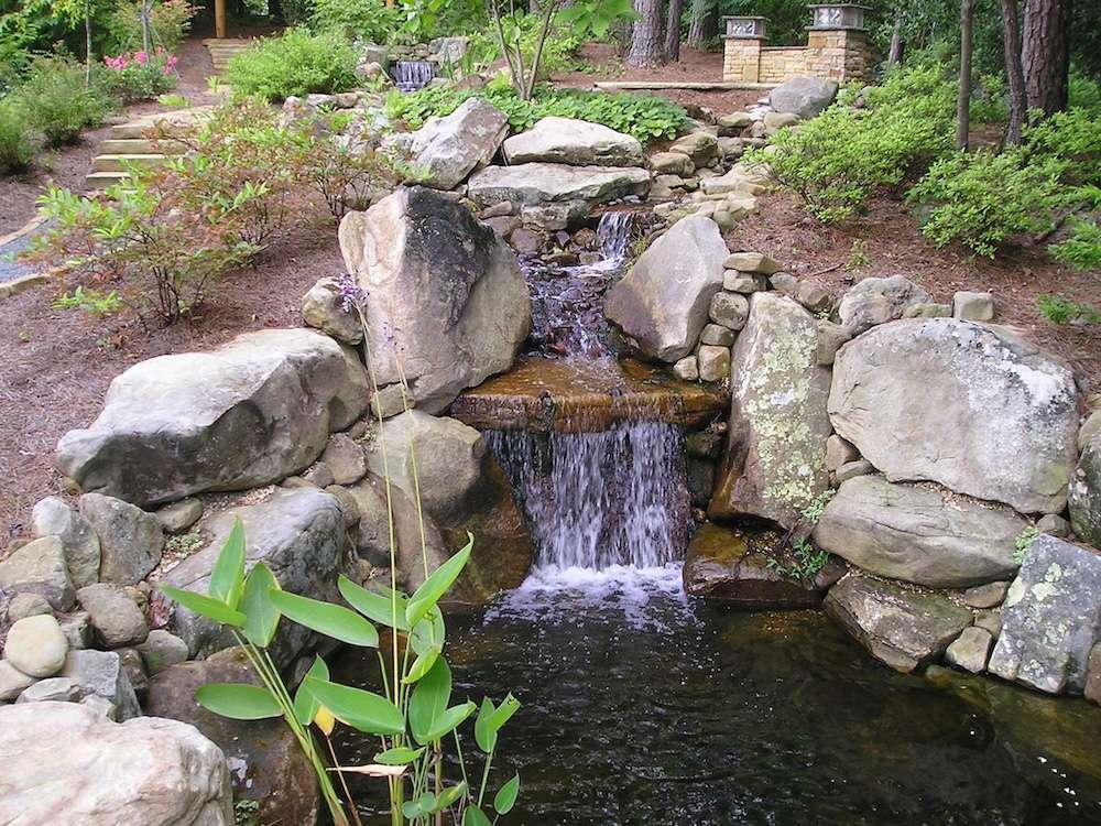 Design a serene water feature to attract wildlife and calm the soul