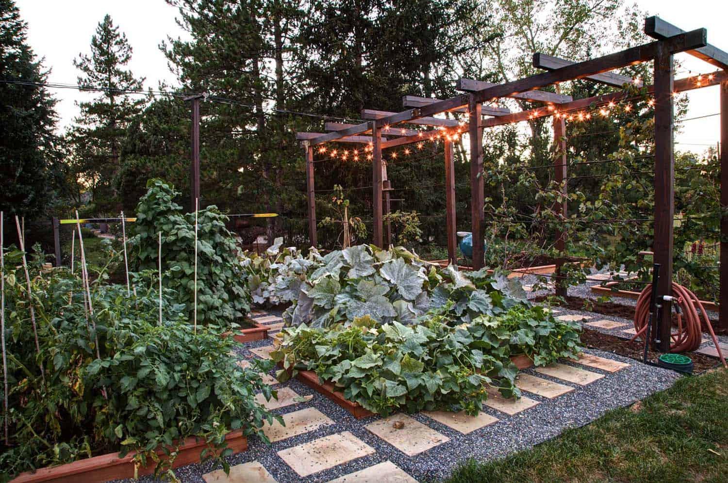 Plant a vegetable garden for sustainability and fresh produce in your backyard design