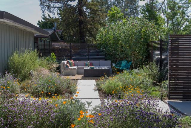 Plant native flowers for ⁢a low-maintenance yet vibrant​ modern backyard