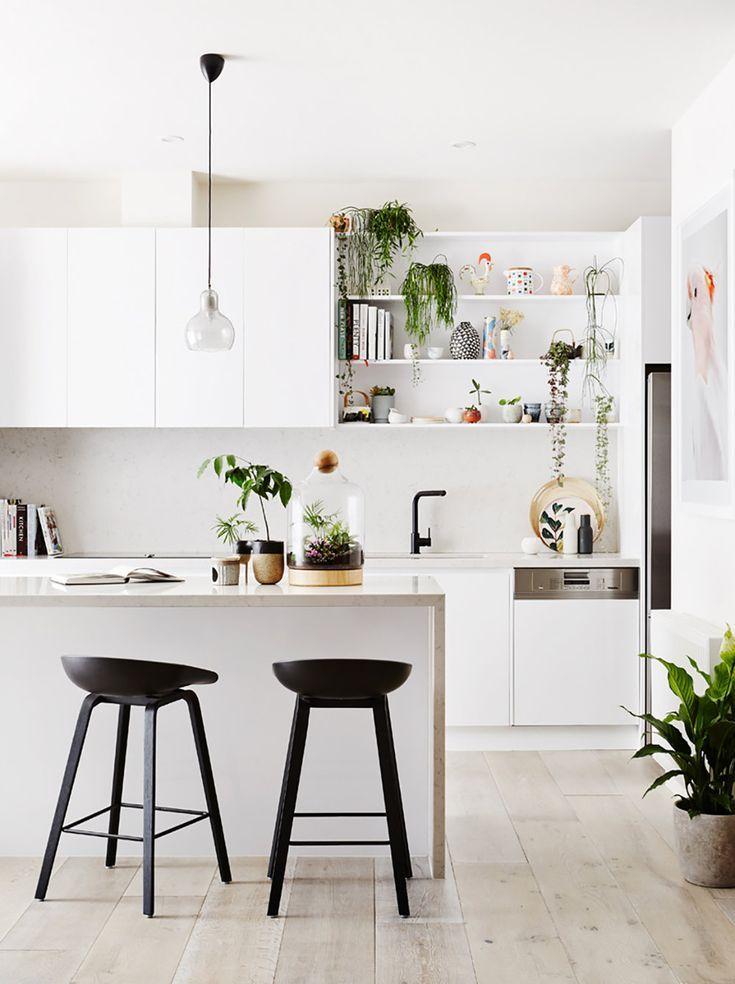 Decorative plants ⁣introduce‌ a ‍fresh vibe to your modern kitchen