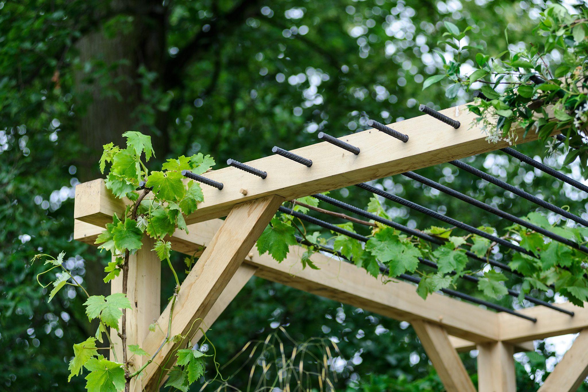 Add a pergola adorned with climbing plants for shade and beauty