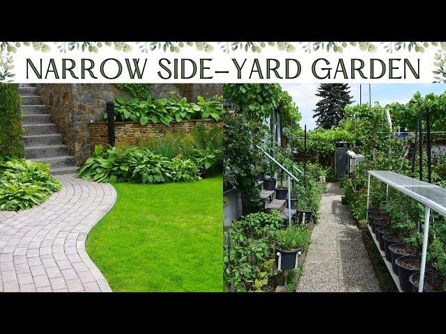 Embrace ​nature with a lush green garden surrounding your patio design