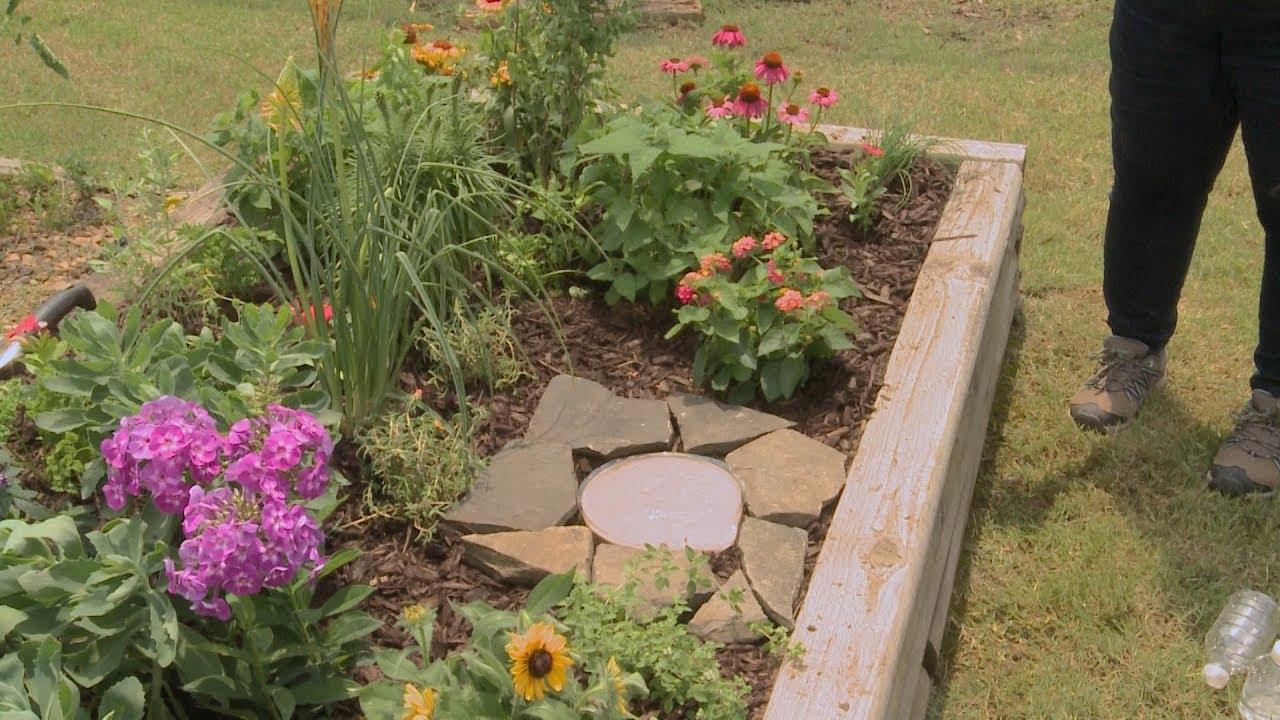 Integrate a butterfly garden to attract pollinators in your landscaping design