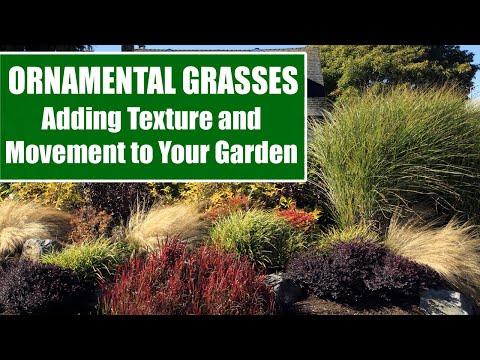 Use ornamental ⁣grasses to add ‍texture‍ and movement to your landscaping ⁣design