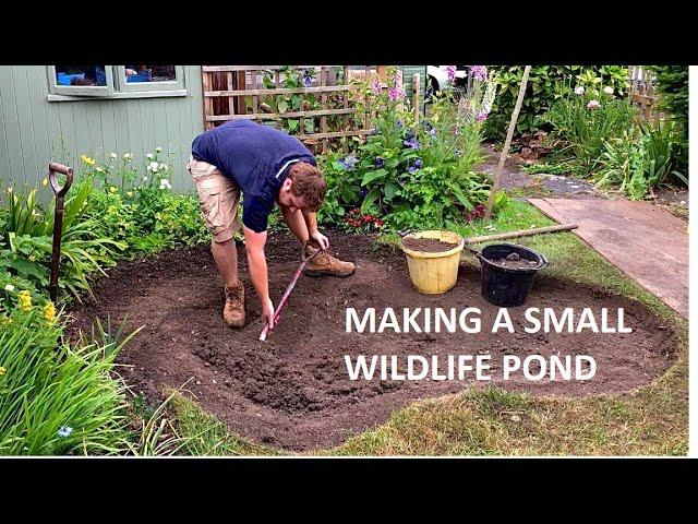 Incorporate⁢ a small pond‌ to attract wildlife ⁤and⁣ beautify‌ your backyard design