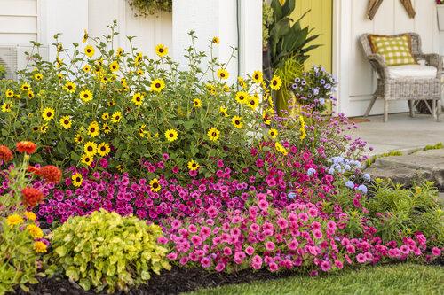 Transform your yard with vibrant flower beds for stunning backyard design appeal