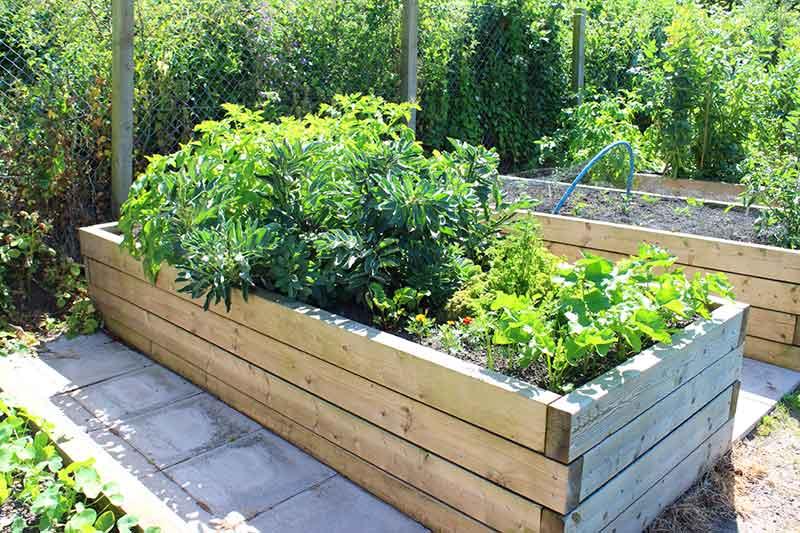 Utilize ⁣raised garden ⁣beds ⁤to⁢ elevate your landscaping design⁤ and improve accessibility