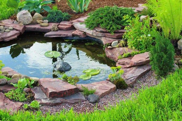 Install a small pond⁤ or birdbath to ‍attract local⁤ wildlife