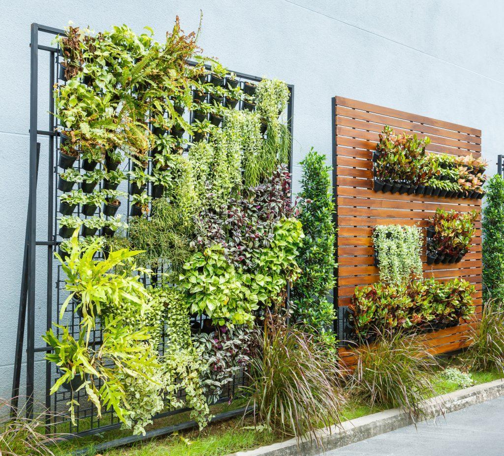 Integrate vertical gardens to maximize‍ space ‍and beautify ⁤your backyard design