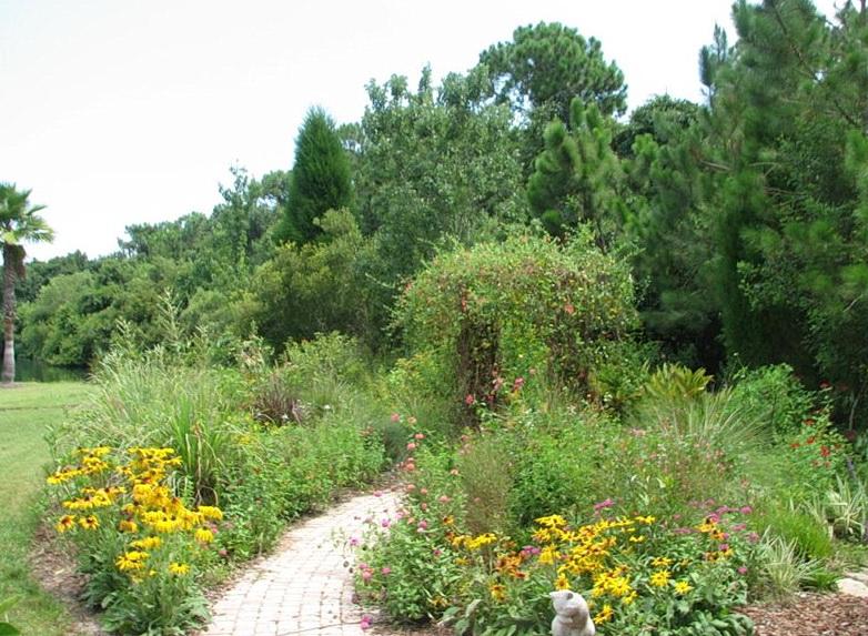 Eco-friendly landscaping design features native plants for sustainable and thriving gardens