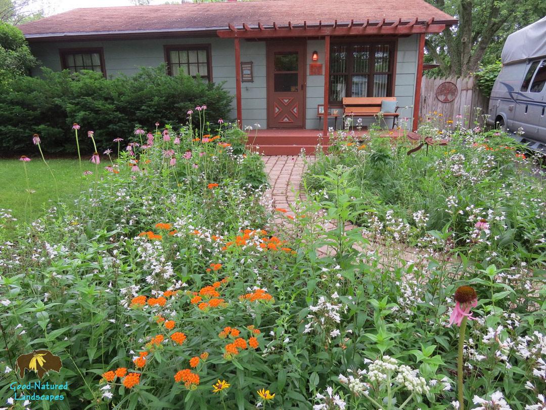 Embrace native plants for‍ sustainable⁢ landscaping design‌ that benefits local wildlife