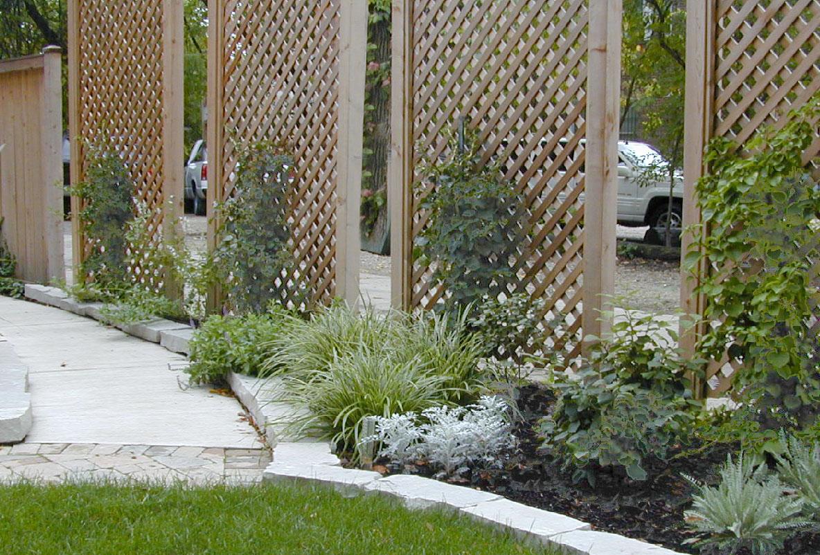 Use trellises to support climbing plants, enhancing your landscaping design vertically