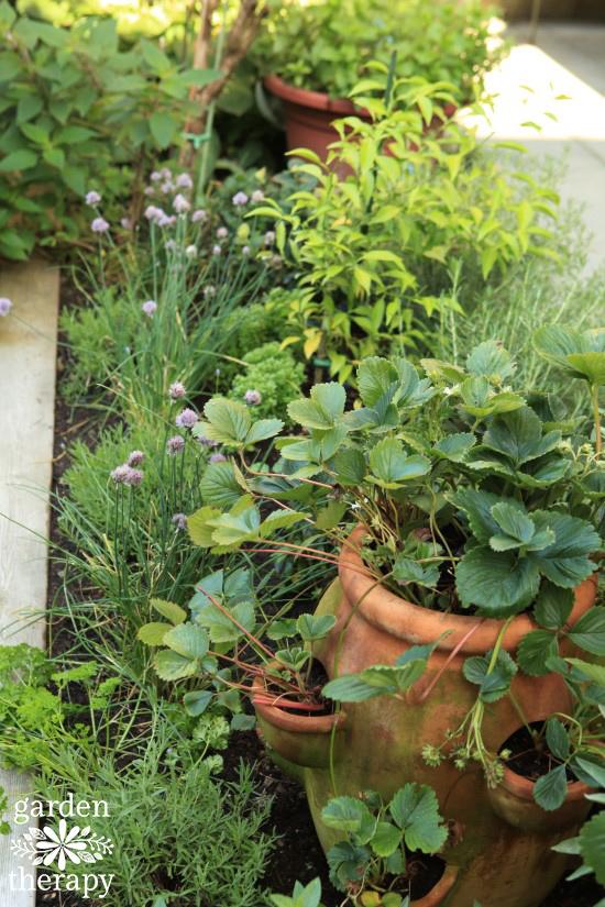 Set up​ a small herb garden for culinary delights in your backyard ⁢design