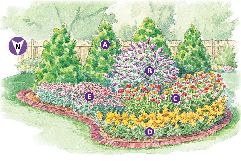 Kickstart a butterfly garden to attract pollinators in your backyard design