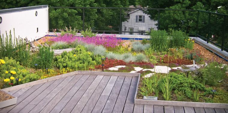 Choose‌ sustainable landscaping practices to ⁢enhance ⁤the environment in your modern backyard