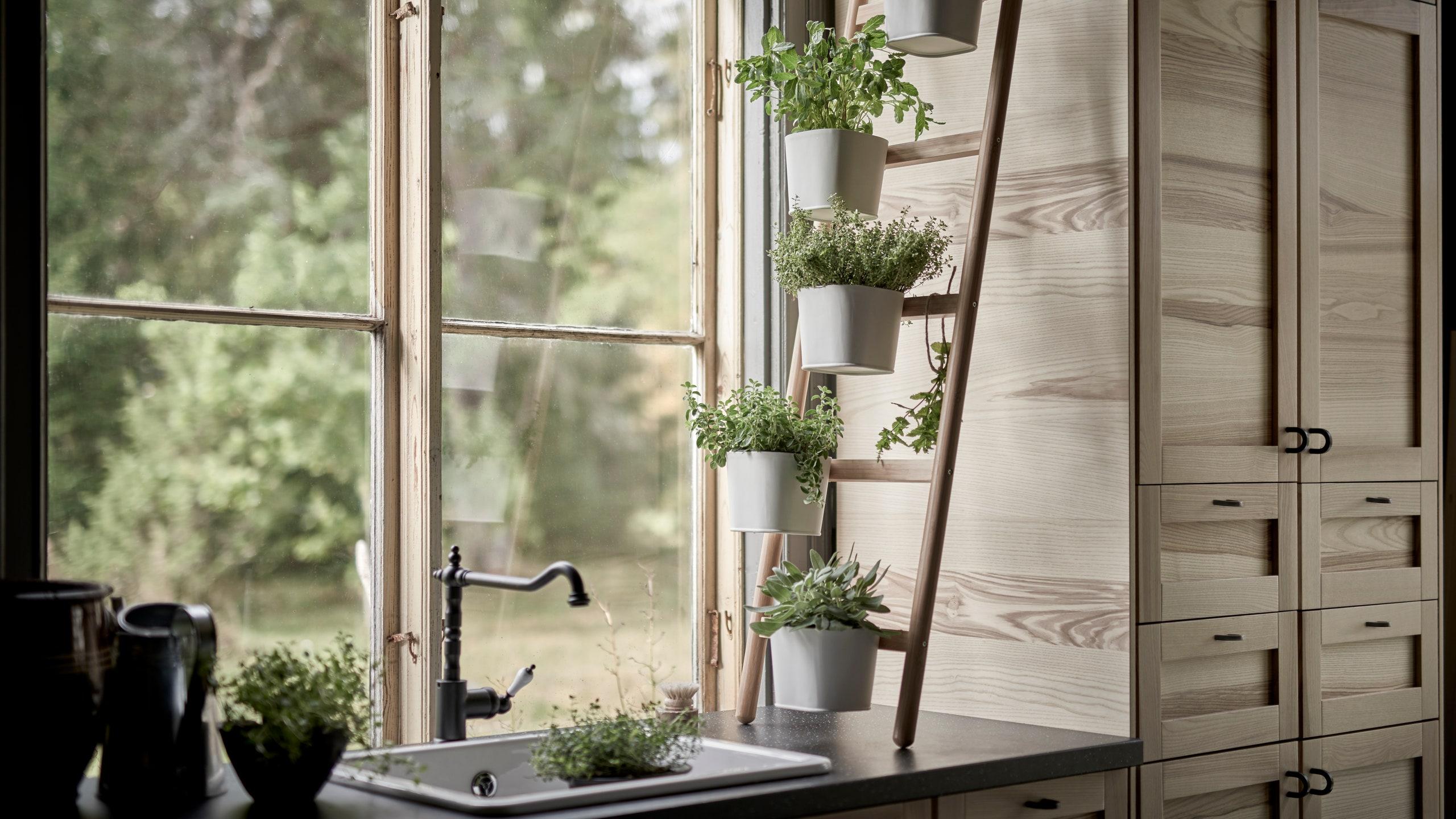 Fresh⁤ herbs on the windowsill ⁢elevate cooking‌ in your modern kitchen