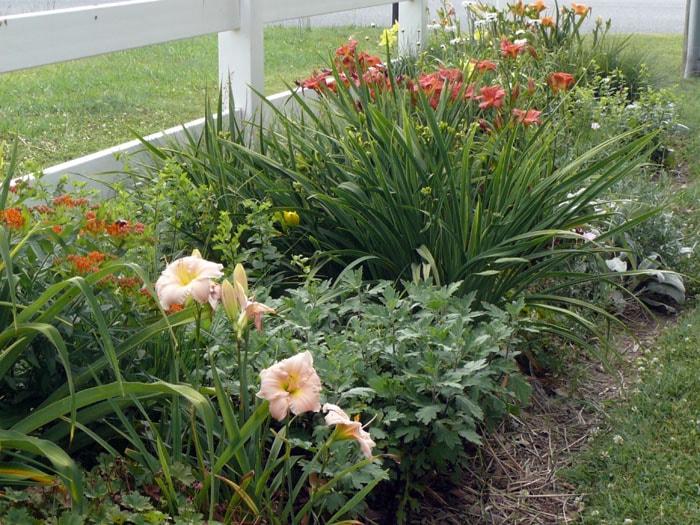 Create a colorful border with flowering ⁤plants in your landscaping design