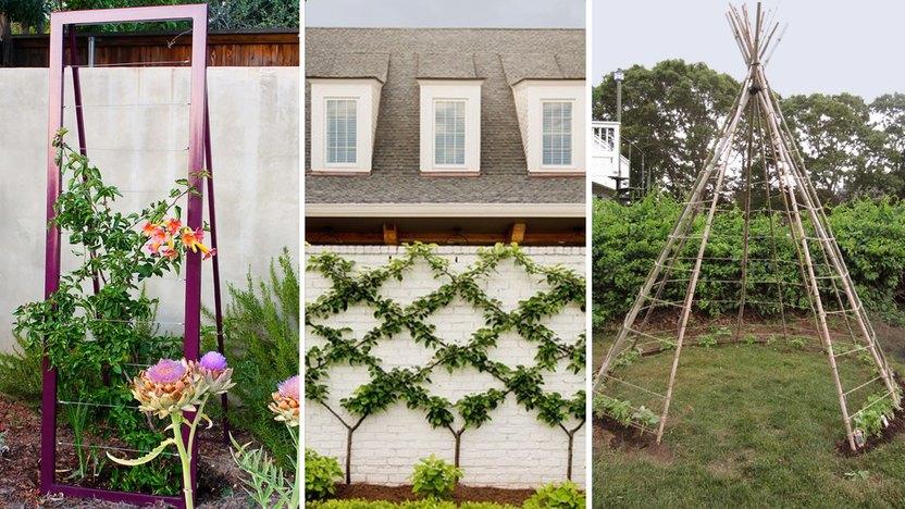 Build a trellis for⁢ climbing plants in your Small Patio Design