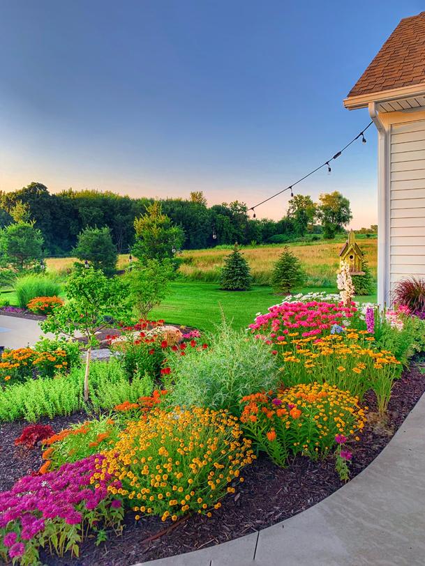 Use bold colors to create a vibrant front yard design that catches the eye