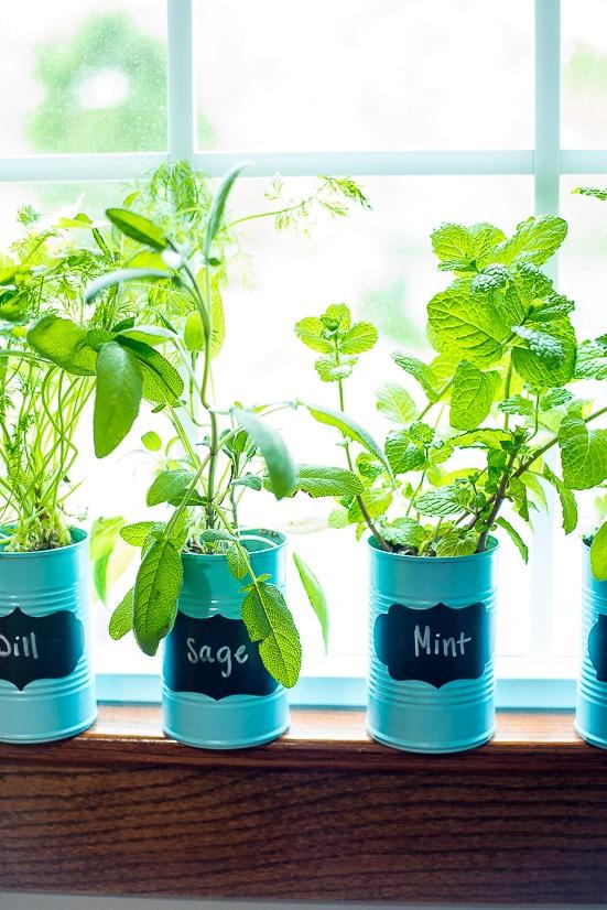 Herb gardens⁢ on windowsills ‍add freshness⁤ and fragrance to your country kitchen