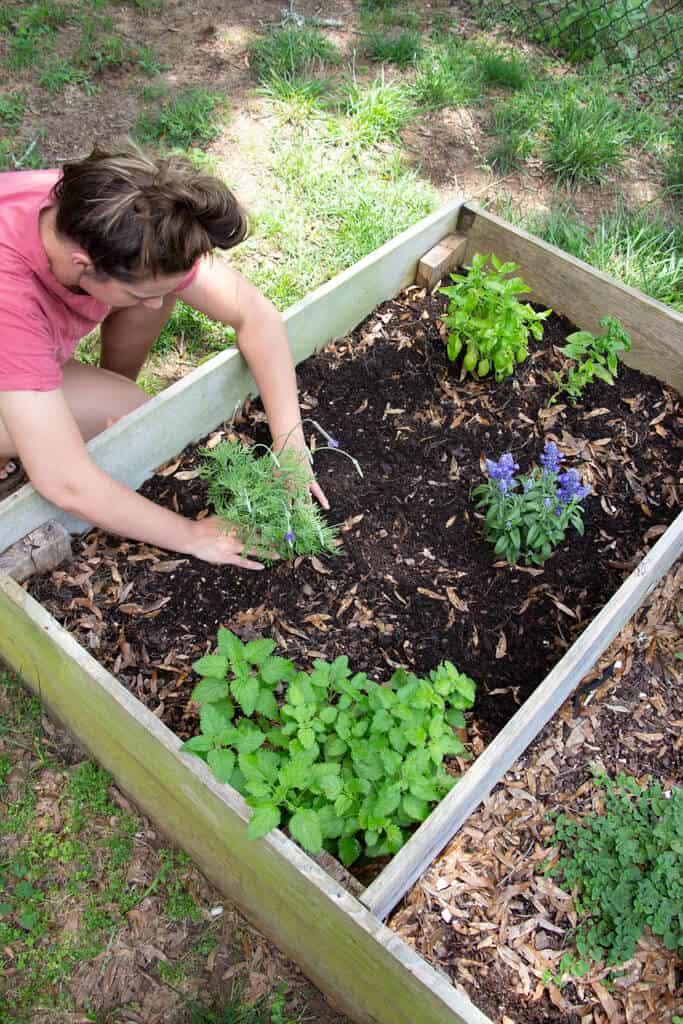 Build a raised garden bed to grow your own herbs in your⁣ modern ​backyard