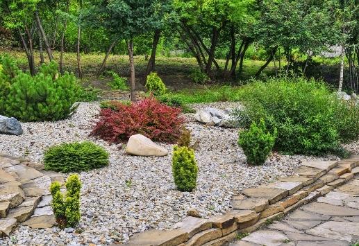 Add decorative ⁢boulders as focal points⁣ to enhance your landscaping design