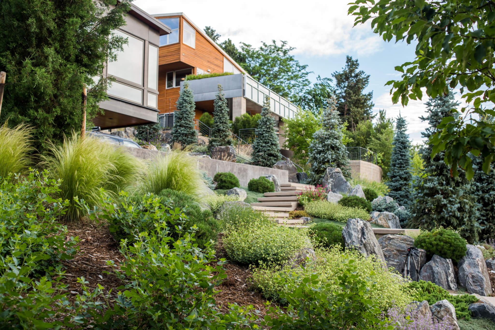 Embrace native plants for a low-maintenance, eco-friendly modern landscape design