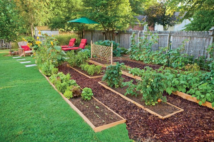 Edible landscaping combines practicality with beauty for ‍a functional⁤ and ​aesthetic design