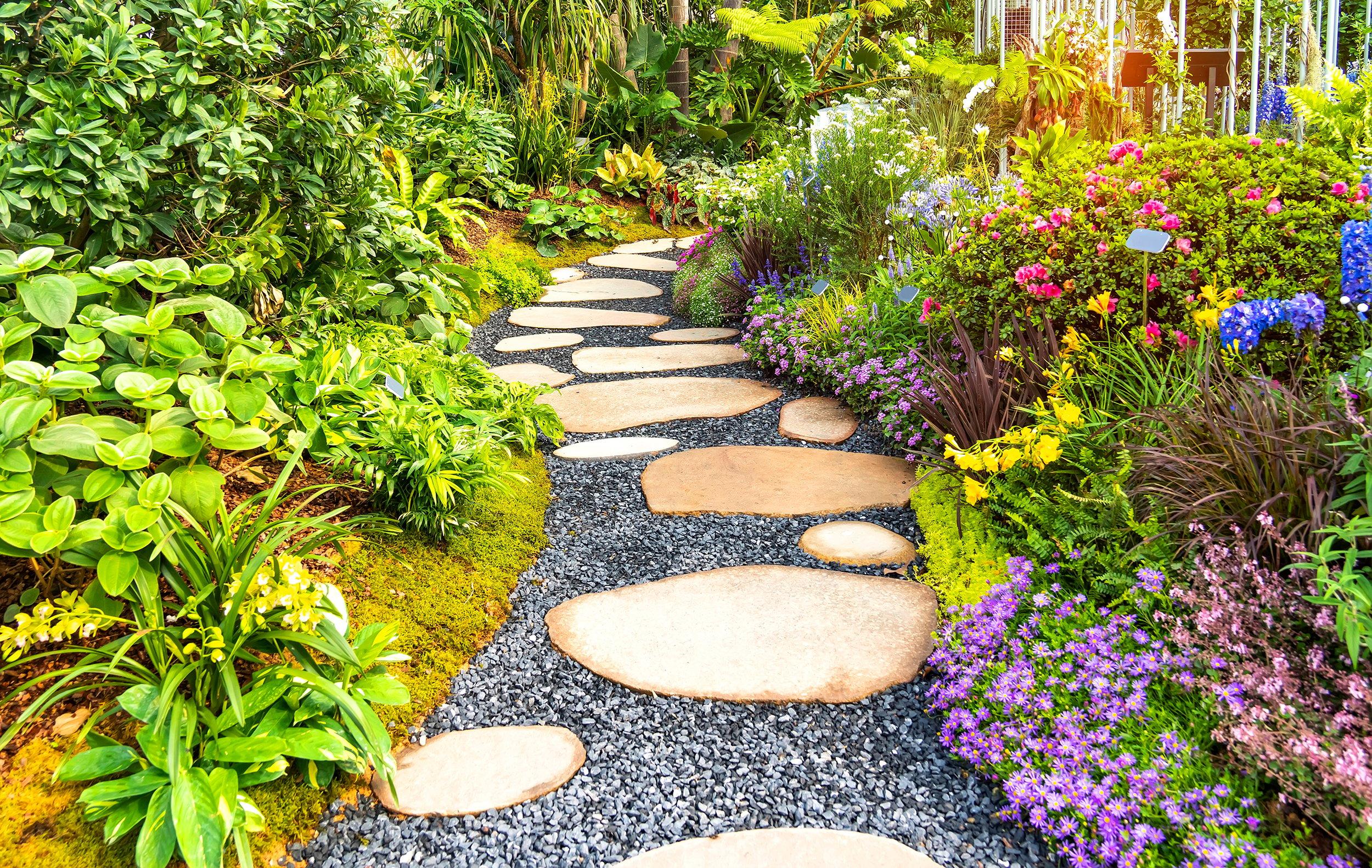 Design a ⁢winding path using pebbles or ‍stones for a ‌natural backyard feel