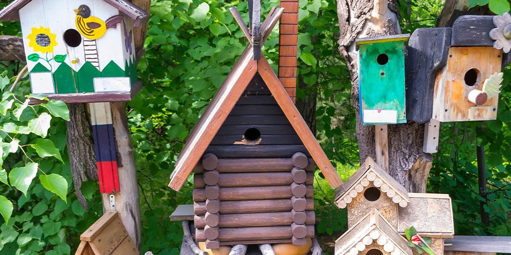 Encourage wildlife with ⁢birdhouses and pollinator plants in ⁤your ⁣landscaping design