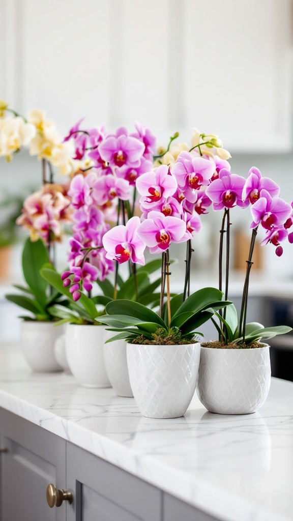 Transform Your Space: 10 Gorgeous Indoor Plants That Flower Year-Round!