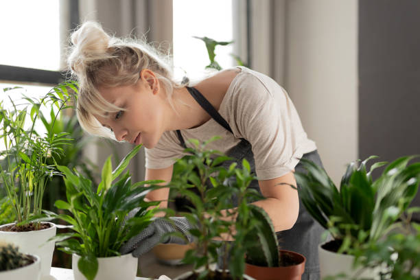 Transform Your Home: The Ultimate Guide to Growing Fresh Vegetables Indoors!